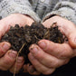 Zwei zu einer Schale geformte Hände halten einen Haufen dunklen, biologischen Kompost für den Workshop am Fr., 19.3.2027 | 10.00 – 12.00 Uhr: Glücklicher Boden, glückliche Pflanzen: weniger Pflege der Königlichen Gartenakademie.