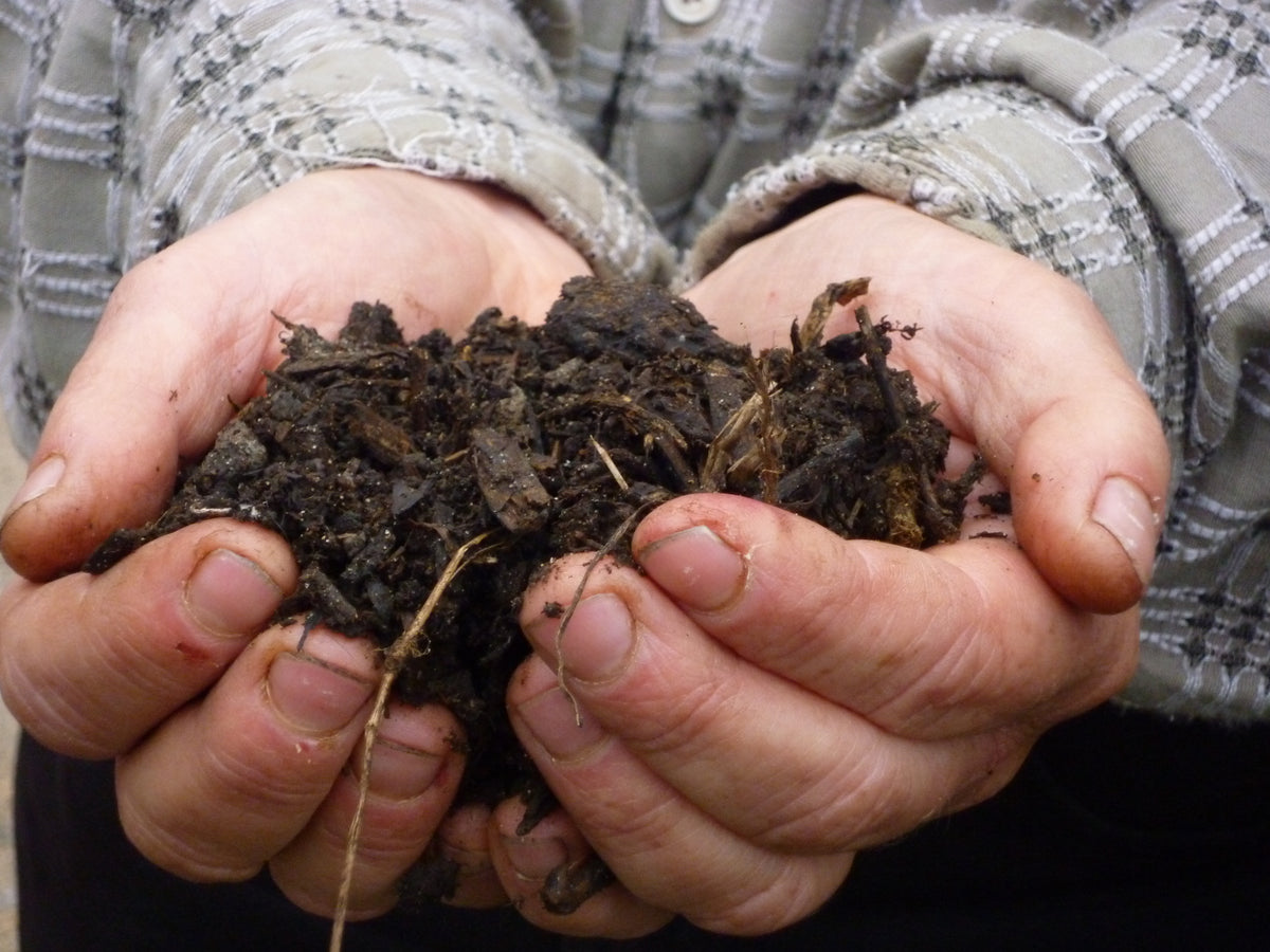 Zwei zu einer Schale geformte Hände halten einen Haufen dunklen, biologischen Kompost für den Workshop am Fr., 19.3.2027 | 10.00 – 12.00 Uhr: Glücklicher Boden, glückliche Pflanzen: weniger Pflege der Königlichen Gartenakademie.