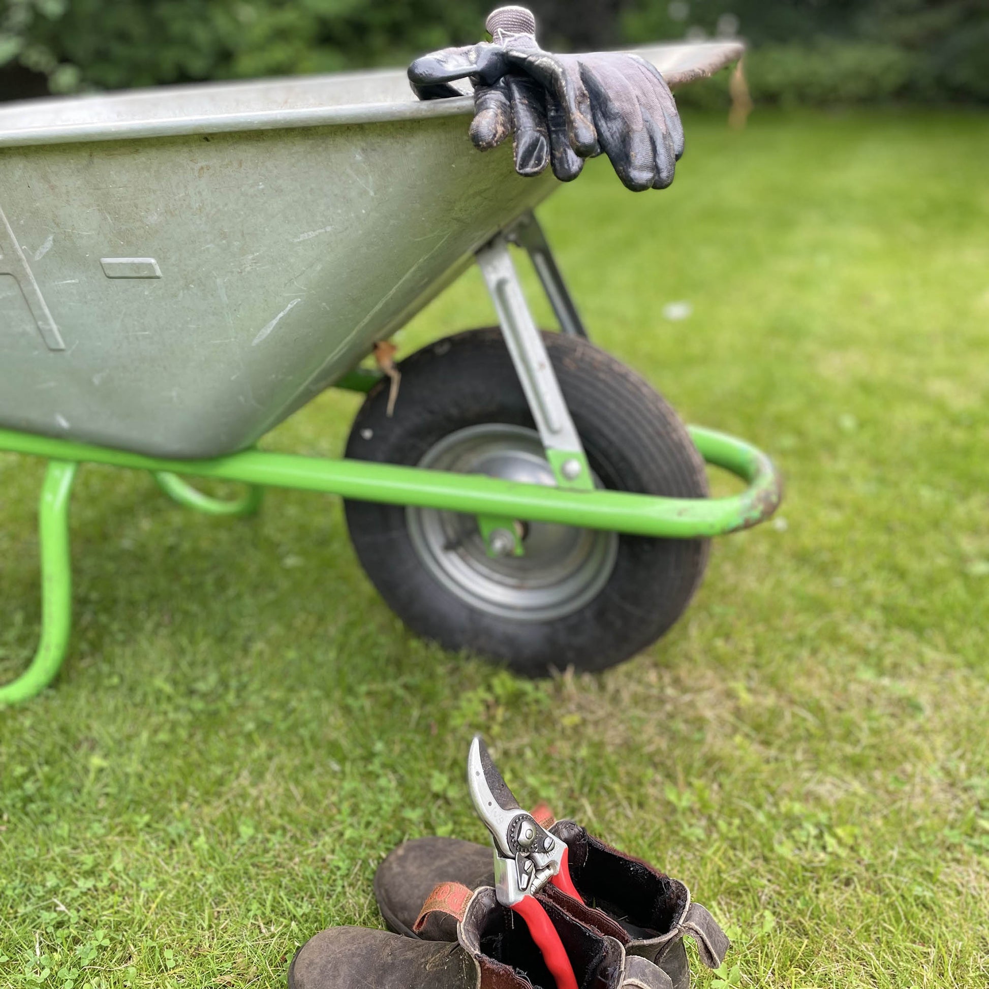 Eine Schubkarre mit Handschuhen steht auf dem Rasen, bereit für die Bodenbearbeitung. Nebenan stehen Stiefel mit Scheren auf dem Rasen. Sträucher im Hintergrund deuten auf Gartenarbeit an - genau das Richtige für die Teilnehmer des Grundkurses "Grüner Daumen" von Astrid Torrens, Di. 21.10.2025, 10-13 Uhr.