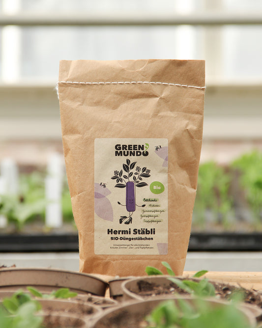 Eine braune Papiertüte mit der Aufschrift Green Mundo | 'Hermi' Bio-Universaldüngestäbchen 300 g steht auf einer Holzfläche mit kleinen Grünpflanzen und Töpfen im Hintergrund. Auf dem Etikett sind Blätter und ein lila Stab abgebildet.