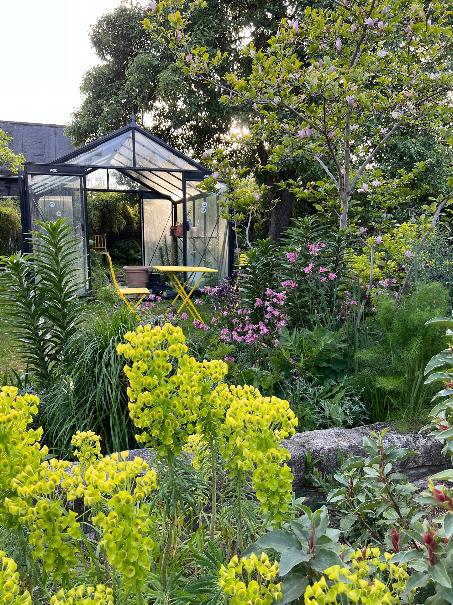Ein üppiger Garten mit blühenden Pflanzen, die wenig Pflege brauchen, und ein gläsernes Gewächshaus sind die Highlights des HALBTAGESKURSES der Königlichen Gartenakademie Fr. 25.09.2026 | 13.00-16.00 Uhr "Gärtnern ganz einfach! NEU". Ein gelber Tisch und ein gelber Stuhl stehen inmitten leuchtender Blumen und Grünpflanzen.