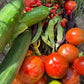 Entdecken Sie den HALBTAGESKURS "Gärtnern ganz einfach! NEU" der Königlichen Gartenakademie am 25.09.2026 - ideal für alle, die frische Tomaten, Gurken und Bohnen aus dem eigenen Garten nachhaltig ernten möchten.