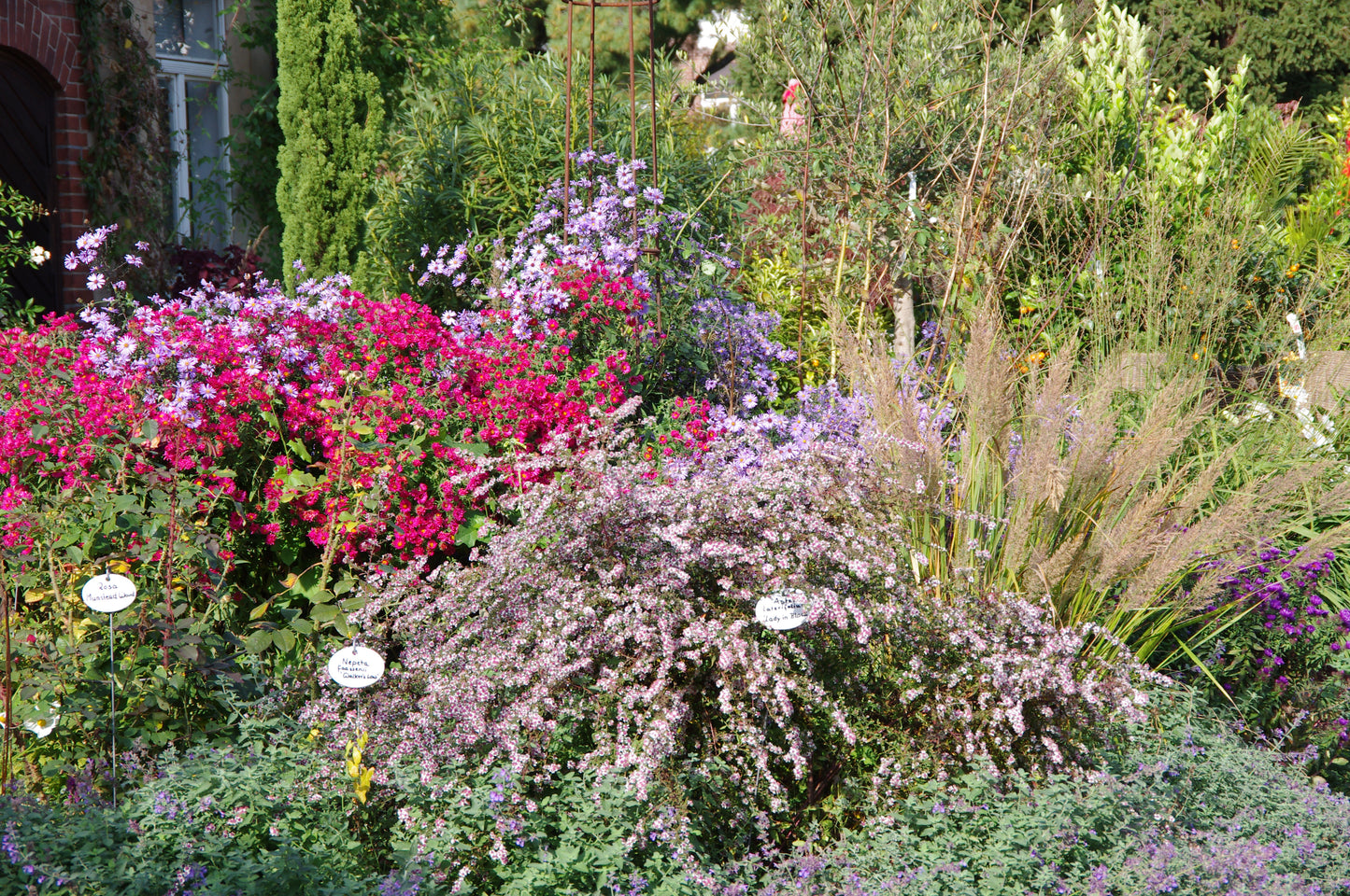 Ein lebhaftes gemischtes Beet aus lila, rosa und roten Stauden mit hohen Gräsern und üppigem Laub wird im Sonnenlicht präsentiert, mit weißen Pflanzenetiketten. Besuchen Sie den Halbtageskurs "Der Mixed Border" am 13.10.2026 in der Königlichen Gartenakademie.
