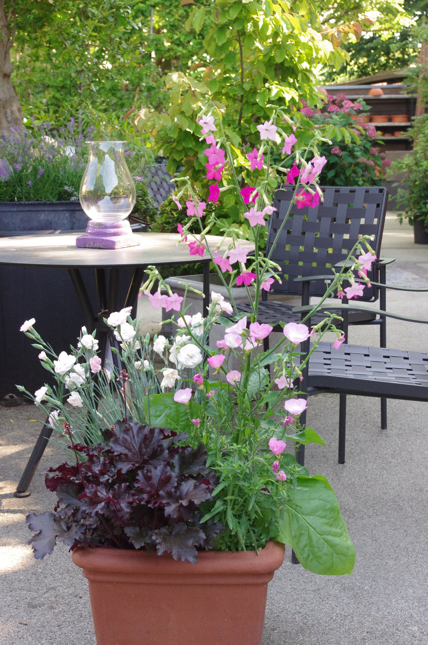 Entdecken Sie das Gärtnern in Containern auf Balkonen und Dachterrassen bei dem "Sa. 18.04.2026 | 10.00-13.00 Uhr HALBTAGSKURS Gärtnern auf Balkonen und Dachterrassen (Englisch)" der Königlichen Gartenakademie - ideal für eine lebendige Blumenpracht auf begrenztem Raum.