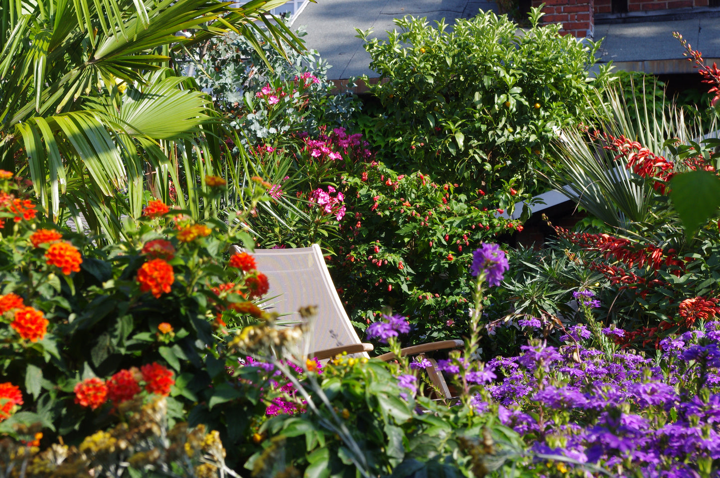 Entspannen Sie sich im Liegestuhl, umgeben von orangefarbener Lantana, violettem Eisenkraut, rosa Oleander, roten Blüten und Palmwedeln beim "Sa. 18.04.2026 | 10.00-13.00 Uhr HALBTAGSKURS Gärtnern auf Balkonen und Dachterrassen" der Königlichen Gartenakademie.