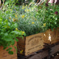 Kräuter und Blumen gedeihen in hölzernen Weinkisten auf Paletten - ideal für das Gärtnern im Container. Erfahren Sie mehr im Halbtagskurs der Königlichen Gartenakademie: Gärtnern auf Balkonen und Dachterrassen (Englisch), Sa. 18.04.2026, 10:00-13:00.