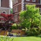Erleben Sie den Charme von Londons Gärten beim "Di. 08.09.2026 | 14.30 - 16.00 AFTERNOON TEA VORTRAG Londons Gärten" der Königlichen Gartenakademie, mit üppigem Grün, bunten Blumen und malerischen Innenhöfen als Inspiration.