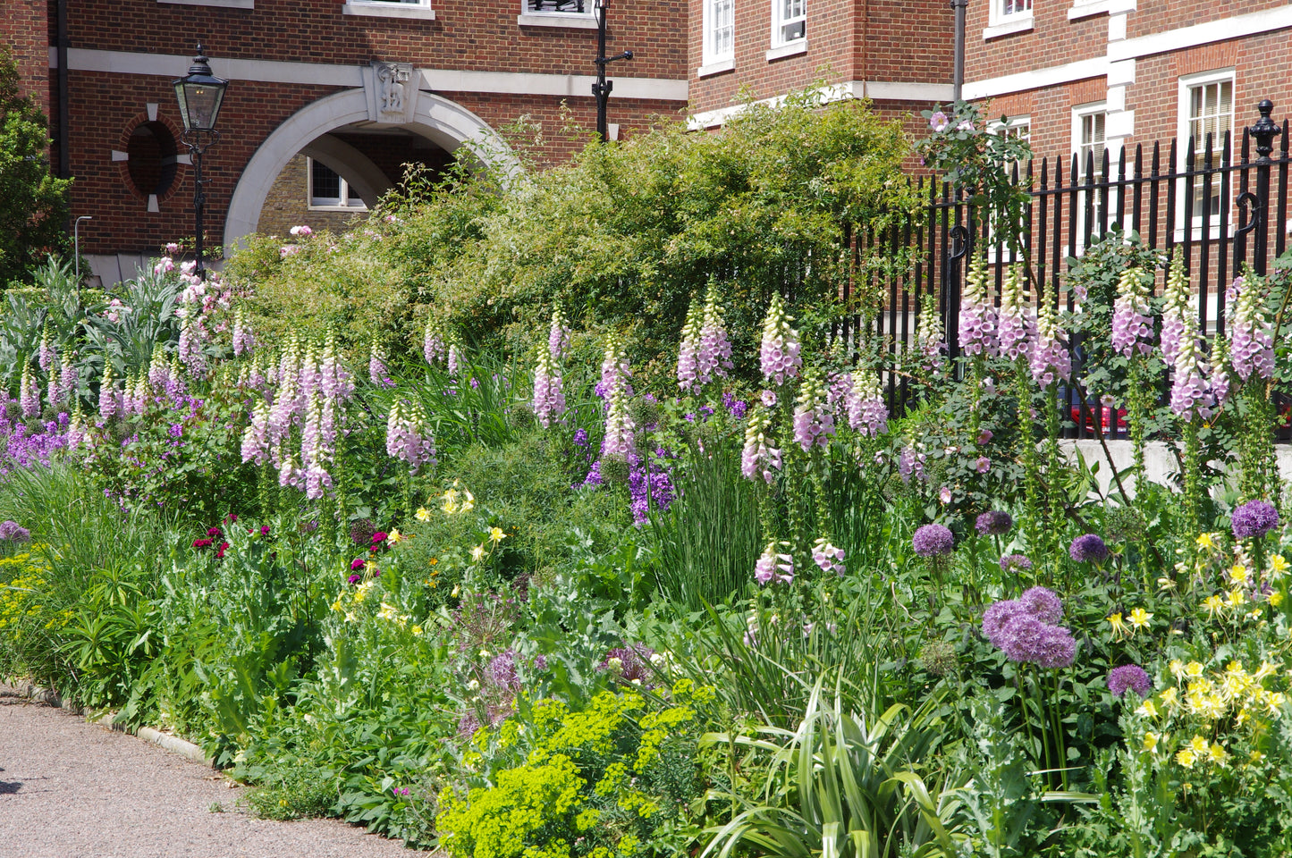 Inspiriert von "Londons Gärten" der Königlichen Gartenakademie gedeiht neben einem schwarzen Metallzaun und einem Backsteingebäude mit bogenförmigen Eingängen ein üppiger Garten mit lila und rosa Fingerhüten, Allium und Grünpflanzen.