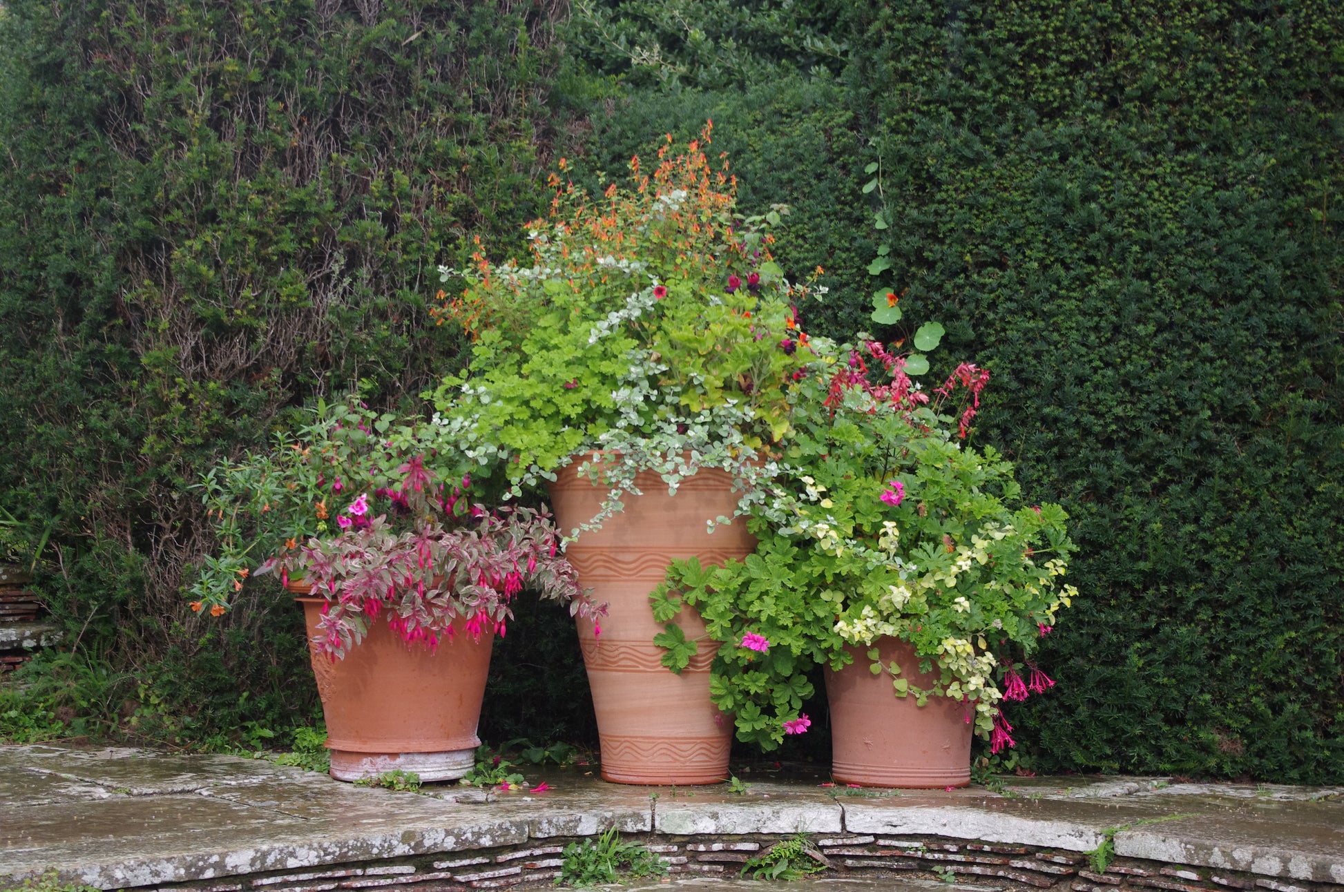 Genießen Sie das festliche Mi. 09.12.2026 | 14.30-16.00 AFTERNOON TEA Christmas Special der Königlichen Gartenakademie, inmitten von Terrakottatöpfen mit lebendigen Pflanzen - ein einladender Ort für die Zeit nach der Gartenreise.