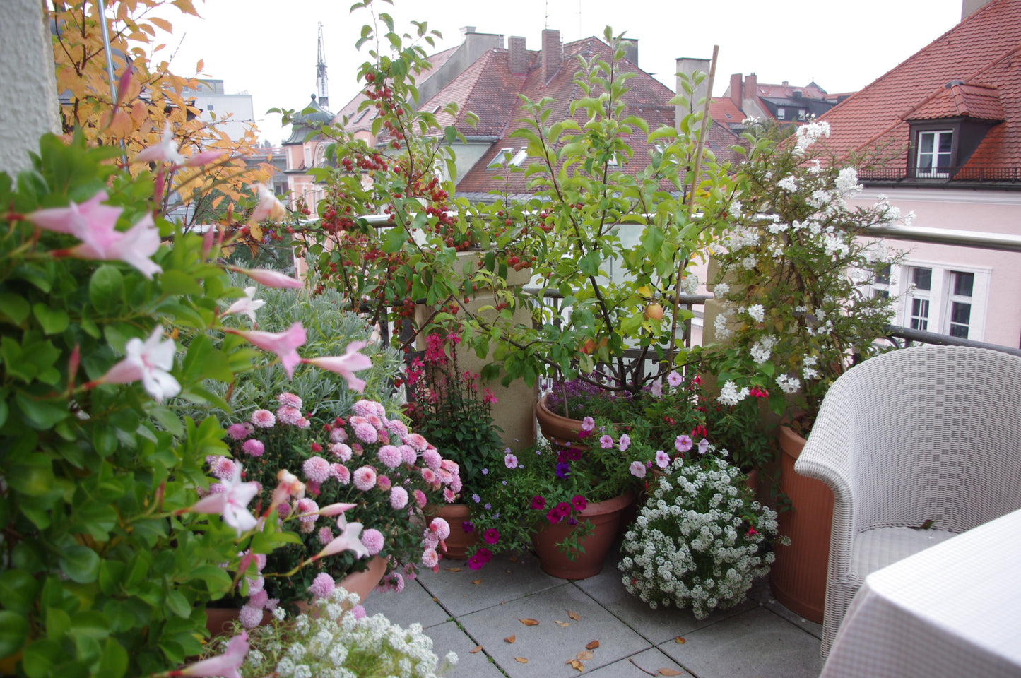 Verwandeln Sie Ihren Balkon oder Ihre Dachterrasse mit Containergärtnern! Besuchen Sie den Halbtagskurs der Königlichen Gartenakademie "Gärtnern auf Balkonen und Dachterrassen (Englisch)" am Sa. 18.04.2026, 10:00-13:00, und erfreuen Sie sich an lebendigen Pflanzen in jedem urbanen Raum.