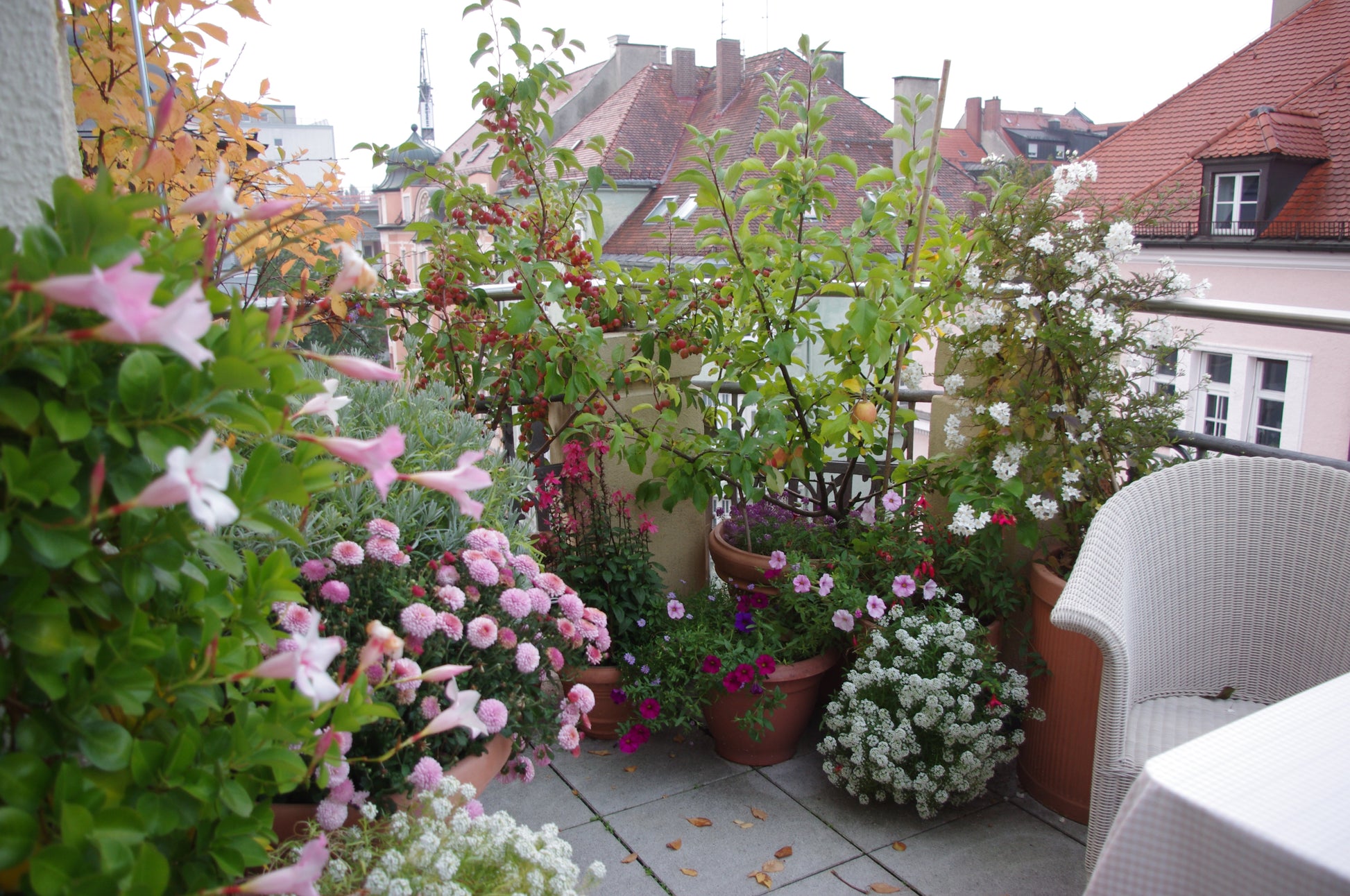 Verwandeln Sie Ihren Balkon oder Ihre Dachterrasse mit Containergärtnern! Besuchen Sie den Halbtagskurs der Königlichen Gartenakademie "Gärtnern auf Balkonen und Dachterrassen (Englisch)" am Sa. 18.04.2026, 10:00-13:00, und erfreuen Sie sich an lebendigen Pflanzen in jedem urbanen Raum.