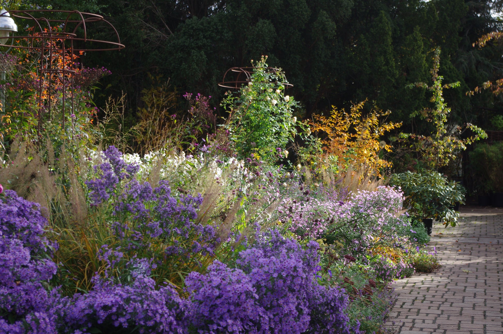 Ein Gartenweg, gesäumt von bunten Blüten der Königlichen Gartenakademie Di. 13.10.2026 | 13.30-16.30 HALBTAGESKURS Der Mixed Border, umgeben von üppigem Grün und hohen Bäumen, die im Sonnenlicht liegen.