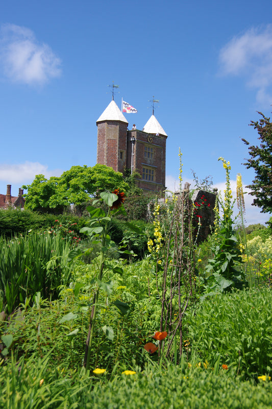 Genießen Sie einen Blick auf die berühmten Gärten von Kent und Sussex - üppig, lebendig und voller gelber Blüten - in unserem AFTERNOON-TEA-VORTRAG "Die Gartenpracht von Kent und Sussex" am Di. 17.02.2026 bei der Königlichen Gartenakademie.