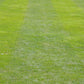 Ein perfekt gepflegter Rasen mit hell- und dunkelgrünen Streifen, wie im Workshop am Samstag, 6.3.2027 | 10.00 – 12.00 Uhr WORKSHOP: Haben Sie schon Rasen oder immer noch Gras? der Königlichen Gartenakademie vorgestellt.
