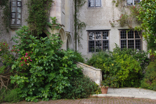 Genießen Sie den Afternoon Tea der Königlichen Gartenakademie am Di. 20.10.2026, 14:30-16:00 Uhr, inspiriert von den Gärten der Normandie - erleben Sie eine bezaubernde Umgebung mit üppigem Grün, schwarz gerahmten Fenstern und Steinarchitektur.
