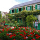 Genießen Sie die Gärten der Normandie in der Königlichen Gartenakademie: Kommen Sie zum Afternoon Tea und einem Vortrag am Di, 20.10.2026, 14:30-16:00, umgeben von leuchtend roten Blumen und grünem Laub - ein inspirierendes Gartenerlebnis!.
