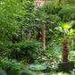Zwei Stühle und ein kleiner Tisch in einem üppigen Schattengarten – das Thema des HALBTAGESKURSES Geheimnisse eines funktionierenden Schattengartens der Königlichen Gartenakademie am 26.2.2027 | 13.30 – 16.30 Uhr.