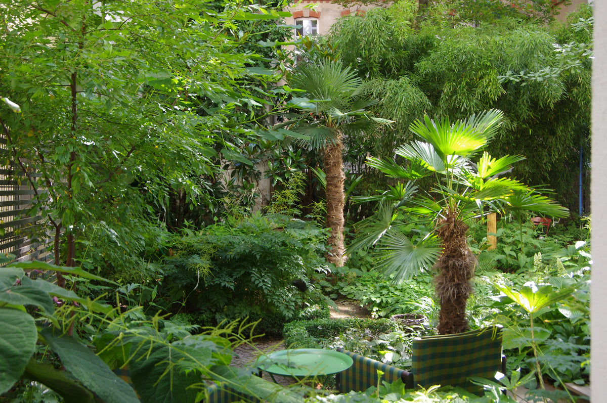 Zwei Stühle und ein kleiner Tisch in einem üppigen Schattengarten – das Thema des HALBTAGESKURSES Geheimnisse eines funktionierenden Schattengartens der Königlichen Gartenakademie am 26.2.2027 | 13.30 – 16.30 Uhr.