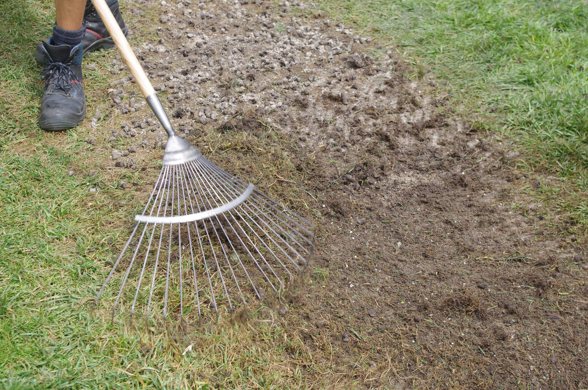 Eine Person nutzt einen Metall-Rasenrechen, um Abfälle zu beseitigen, während des Workshops am Samstag, 6.3.2027 | 10.00 – 12.00 Uhr Haben Sie schon Rasen oder immer noch Gras? in der Königlichen Gartenakademie, und bereitet den Boden vor.