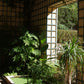Ein Gewächshaus mit einer Spalierwand, Zimmerpflanzen und einem kleinen rechteckigen Teich, vorgestellt in der Sendung Di. 16.3.2027 | 14.30 – 15.30 AFTERNOON TEA – Gartenreise durch Frankreich.
