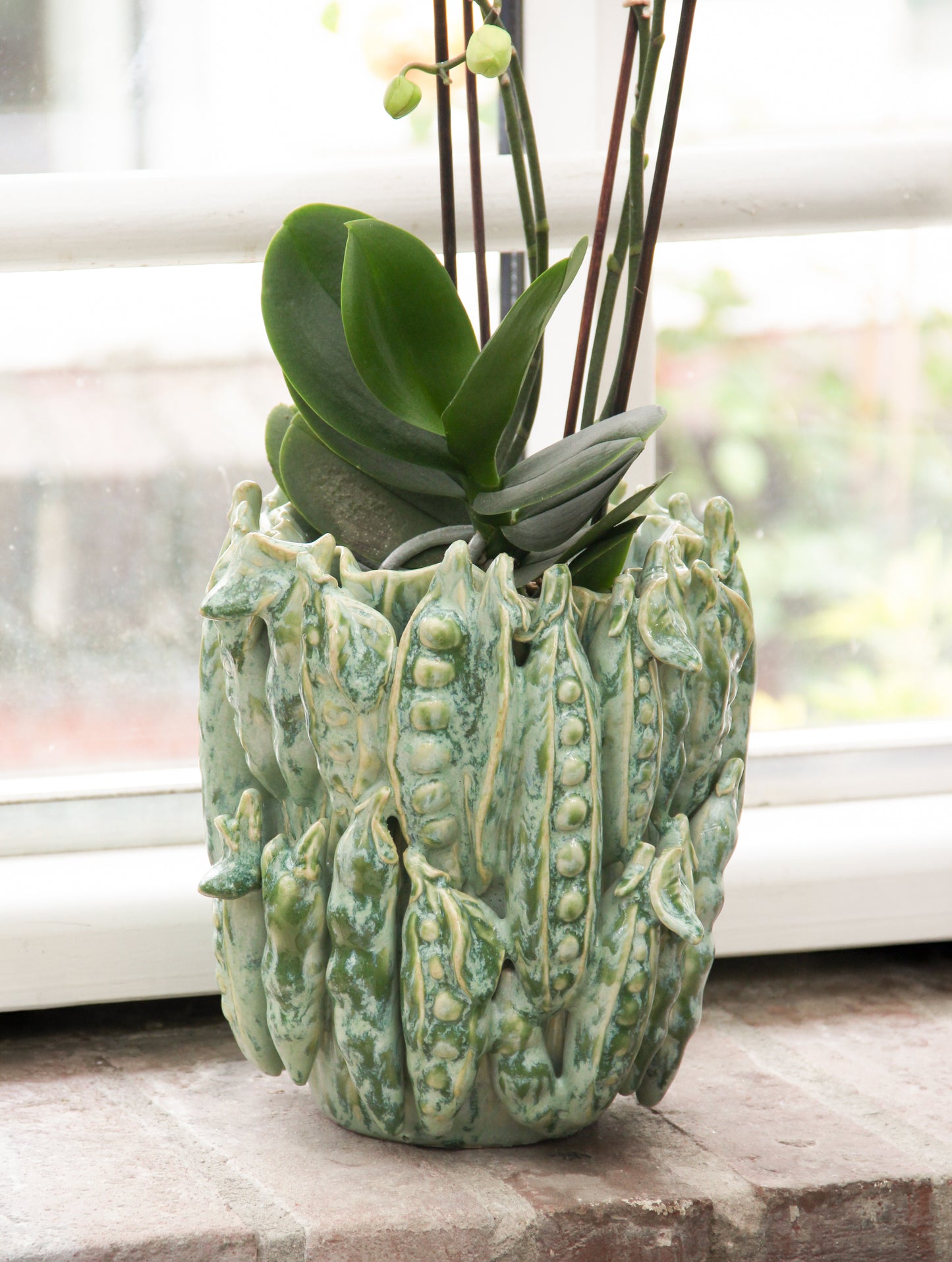 The Des Pots | Grüne Vase mit Schoten (H 16 Ø 18 cm) von Des Pots – ein keramischer Übertopf in Form von Erbsenschoten in leuchtendem Grün – präsentiert eine Orchidee mit dicken grünen Blättern und hohen Stielen, die auf der Fensterbank im Sonnenlicht badet und so zu einem echten Deko-Highlight für jeden Raum wird.