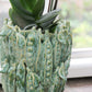 „The Des Pots | Grüne Vase mit Erbsenschoten (H 16 Ø 18 cm)“ von Des Pots besticht durch ein einzigartiges, strukturiertes Erbsenschoten-Design und präsentiert eine üppige Pflanze mit breiten Blättern, die auf der Fensterbank im natürlichen Licht badet – ein echtes Deko-Highlight für jeden Raum.