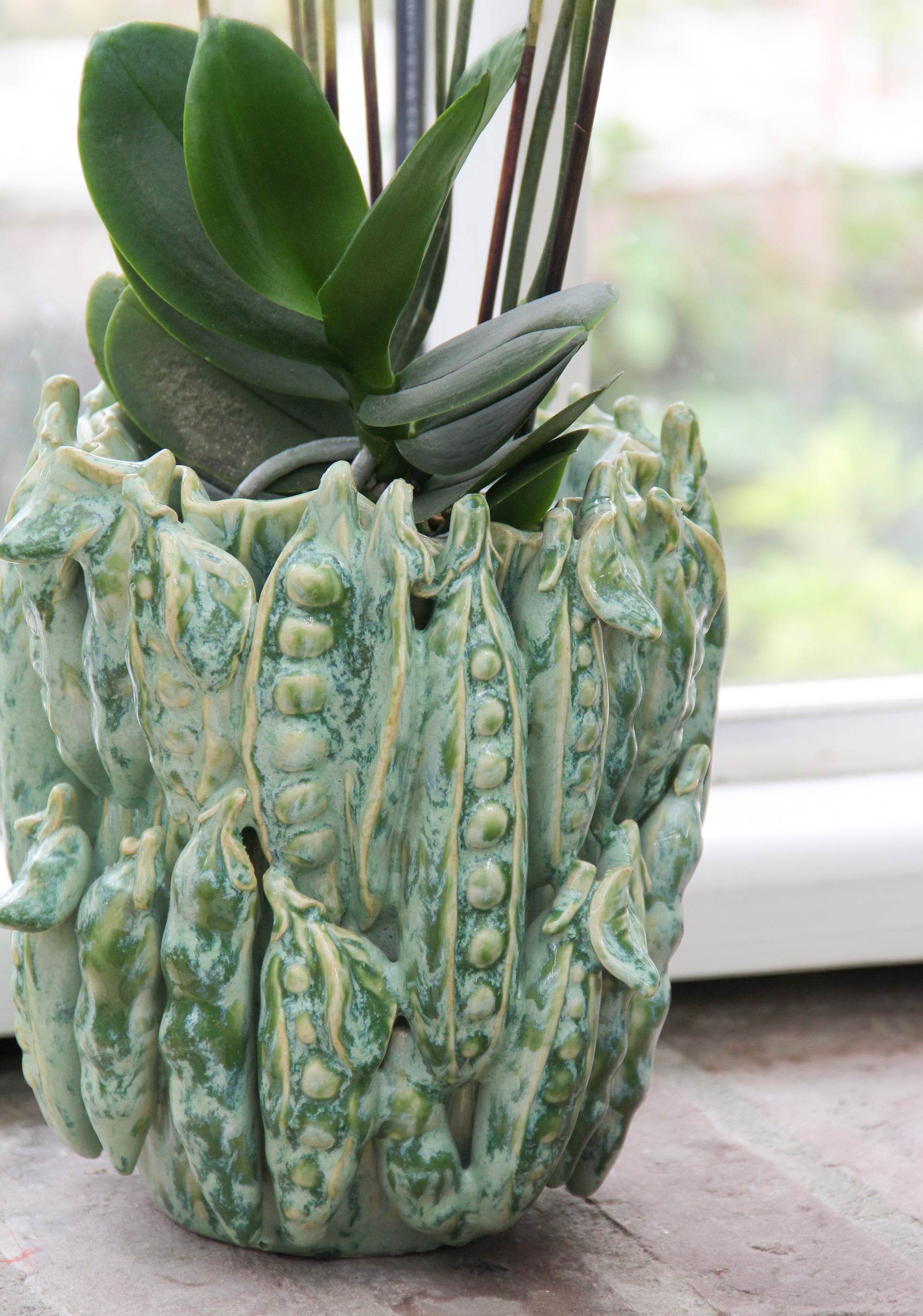 „The Des Pots | Grüne Vase mit Erbsenschoten (H 16 Ø 18 cm)“ von Des Pots besticht durch ein einzigartiges, strukturiertes Erbsenschoten-Design und präsentiert eine üppige Pflanze mit breiten Blättern, die auf der Fensterbank im natürlichen Licht badet – ein echtes Deko-Highlight für jeden Raum.