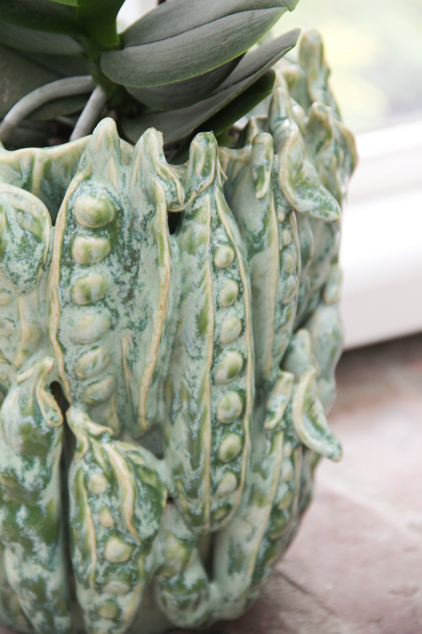 Eine Nahaufnahme der Vase „Vase grün mit Schoten“ (H 16, Ø 18 cm) von Des Pots mit erhabenen Erbsenschoten-Akzenten und einer grünen Pflanze darin ist ein bezauberndes Deko-Highlight, wenn sie in Fensternähe platziert wird.