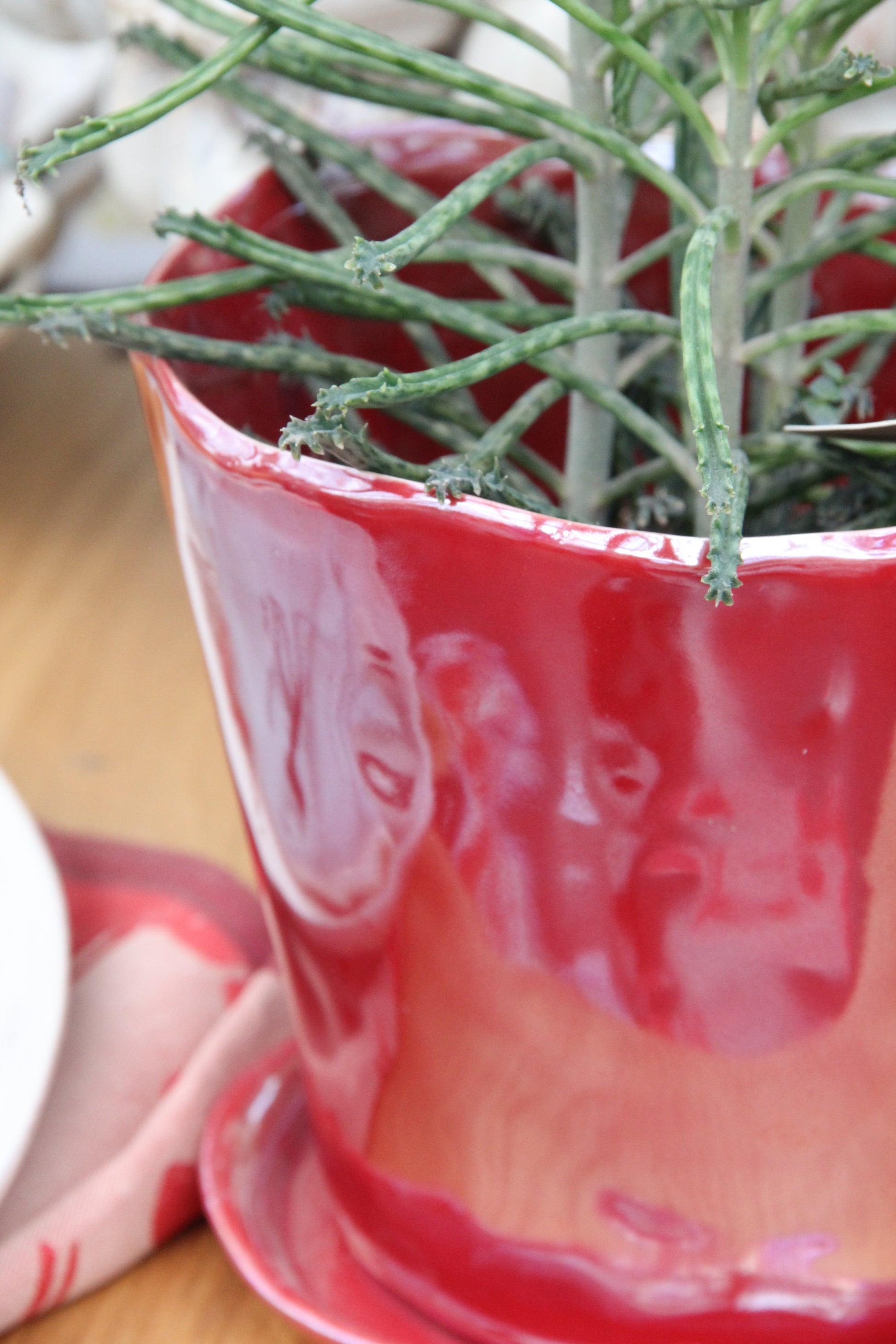 Eine Nahaufnahme einer grünen Sukkulente mit langen Stielen in einem „Blumentopf aus glasierter Keramik in Rot“ (H 15,5, Ø 18 cm) von Des Pots, der auf einer Holzunterlage neben einer gefalteten rosa Serviette und einem weißen Teller steht.