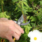 Eine Person schneidet mit der Niwaki | „Higurashi GR Secateurs“ Gartenschere von Niwaki einen grünen Pflanzenstiel in einem Garten, der von bunten Blumen und üppigem Grün umgeben ist.