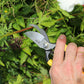 Eine Hand, die eine Niwaki-Gartenschere mit gelbem Griff – die „Higurashi GR Secateurs“ von Niwaki – hält, schneidet einen grünen Pflanzenstiel in einem Garten ab, im Hintergrund sind verschiedene Blätter und rote Blumen zu sehen.