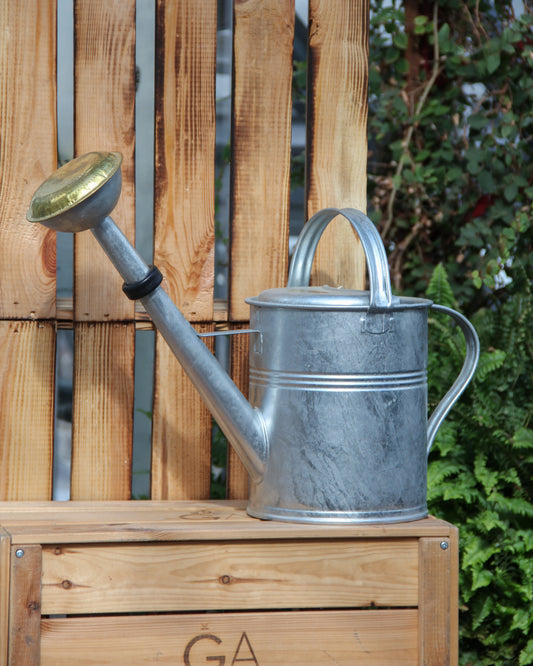 Eine Plint | Kleine Gießkanne (1,5 l) aus Zink von PLINT A/S mit einer eleganten Messingbrause steht auf einer Holzkiste vor einem Holzzaun, umgeben von grünen Pflanzen und üppigem Laub im Hintergrund.