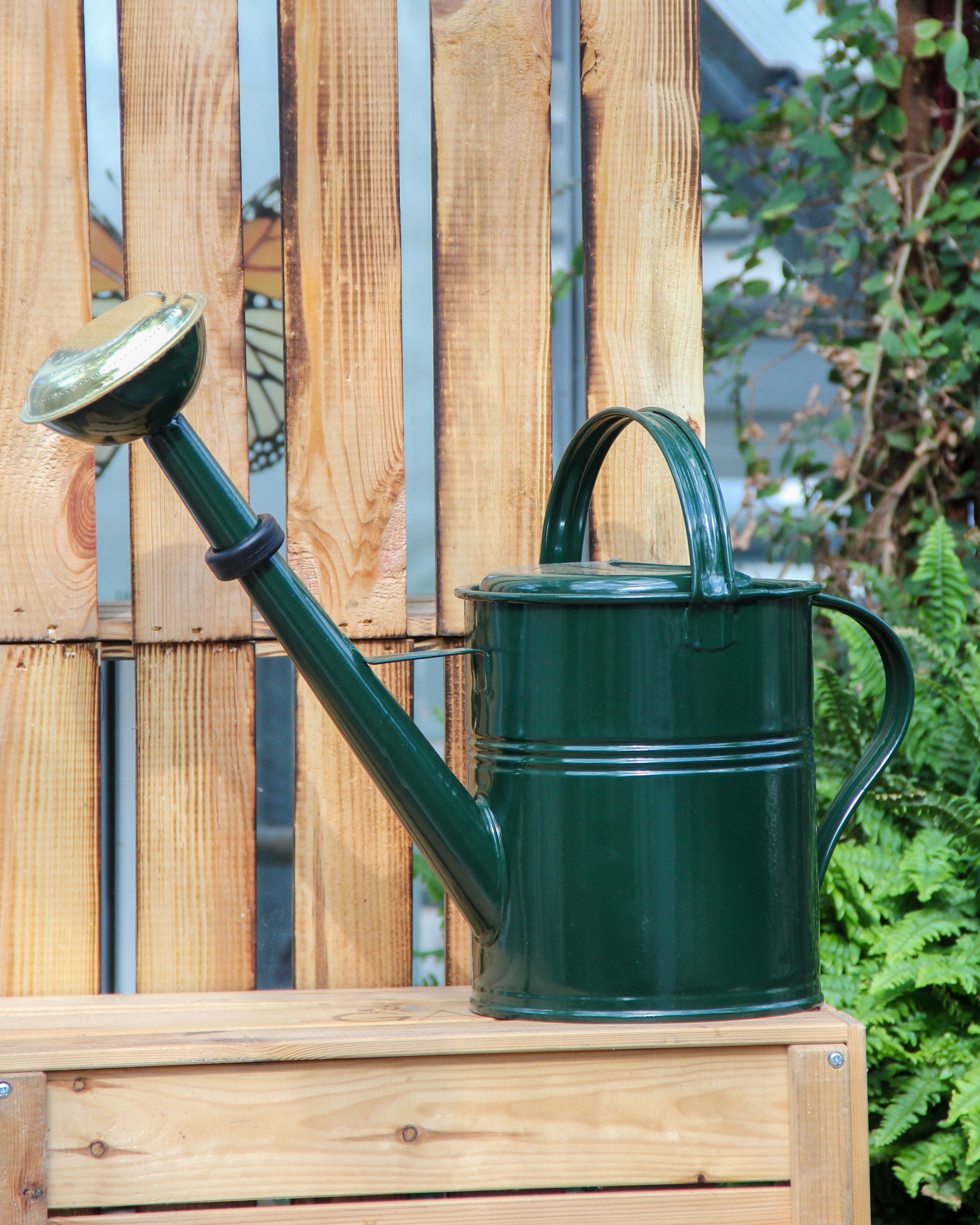 Eine Gießkanne „Plint“ | Gießkanne klein 1,5 l in Grün von PLINT A/S mit langem Auslauf steht auf einer Holzbank in einem Garten, im Hintergrund sind ein Holzzaun und grüne Pflanzen zu sehen.