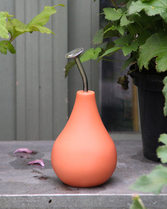 Eine Esschert-Gießbrause „Ball Terracotta L“ – eine birnenförmige, mattorangefarbene Gießkanne mit einem schlanken, silberfarbenen Metallhals und einer silberfarbenen Düse – steht auf einer grauen Fläche neben einer grünen Topfpflanze. In der Nähe liegen zwei kleine rosa Blütenblätter verstreut.