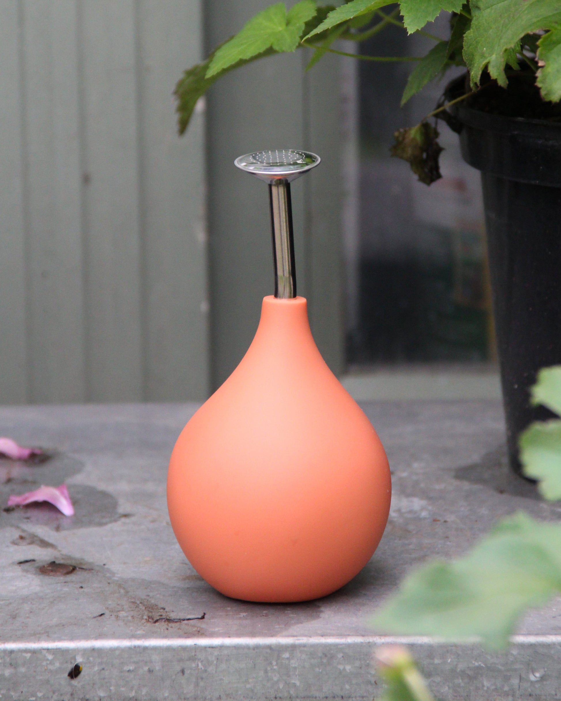 Die Esschert Gießbrause Ball Terracotta S, eine wassersparende Gießbrause für die gezielte Pflanzenbewässerung, steht auf einer grauen Fläche neben einer Topfpflanze mit teilweise sichtbaren Blättern und einigen vereinzelten rosa Blütenblättern in der Nähe.