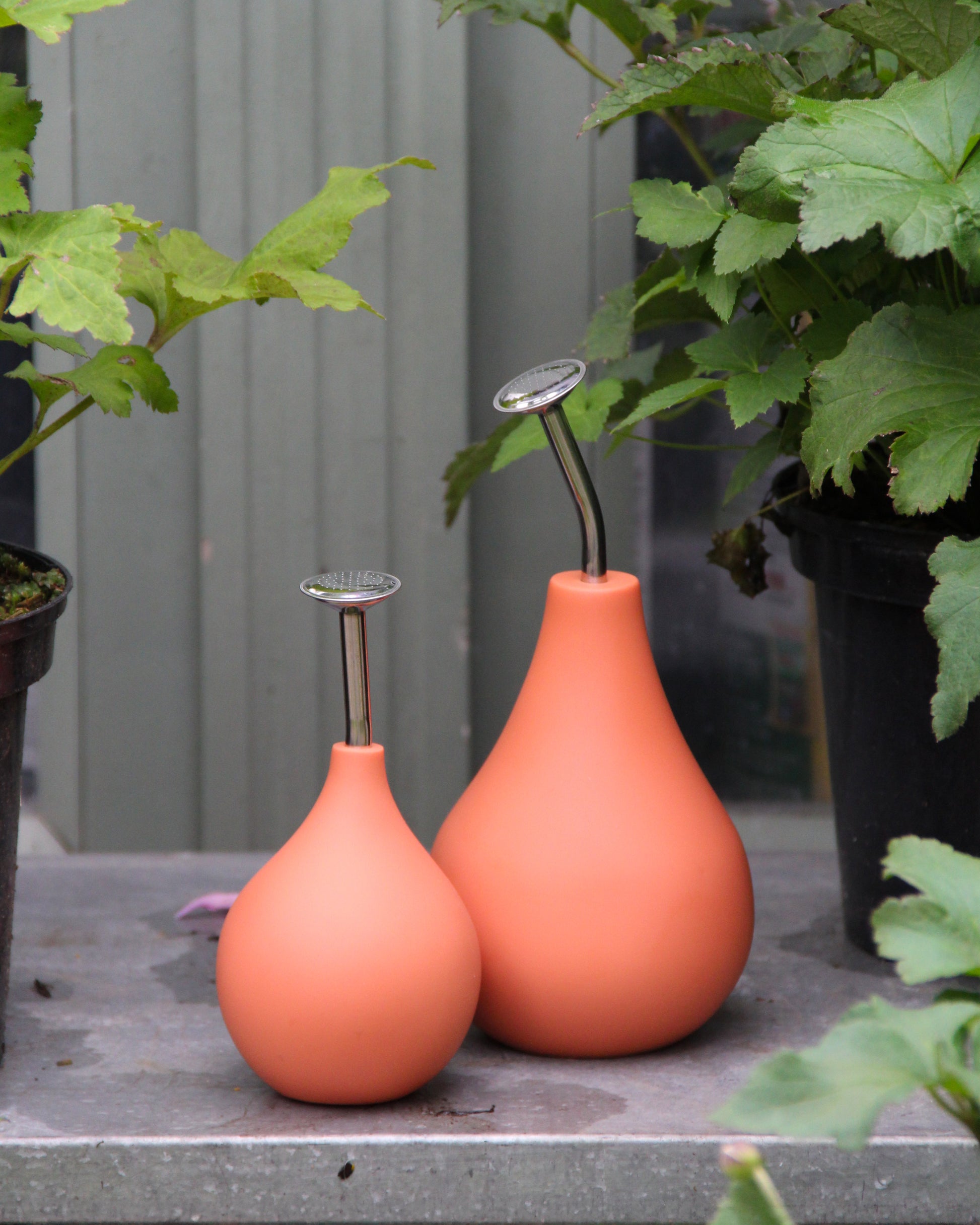 Zwei Esschert-Gießkannen vom Typ „Gießbrause Ball Terracotta S“ mit orangefarbenen, knollenförmigen Körpern und silbernen Ausgüssen stehen auf einer grauen Fläche inmitten grüner Topfpflanzen.