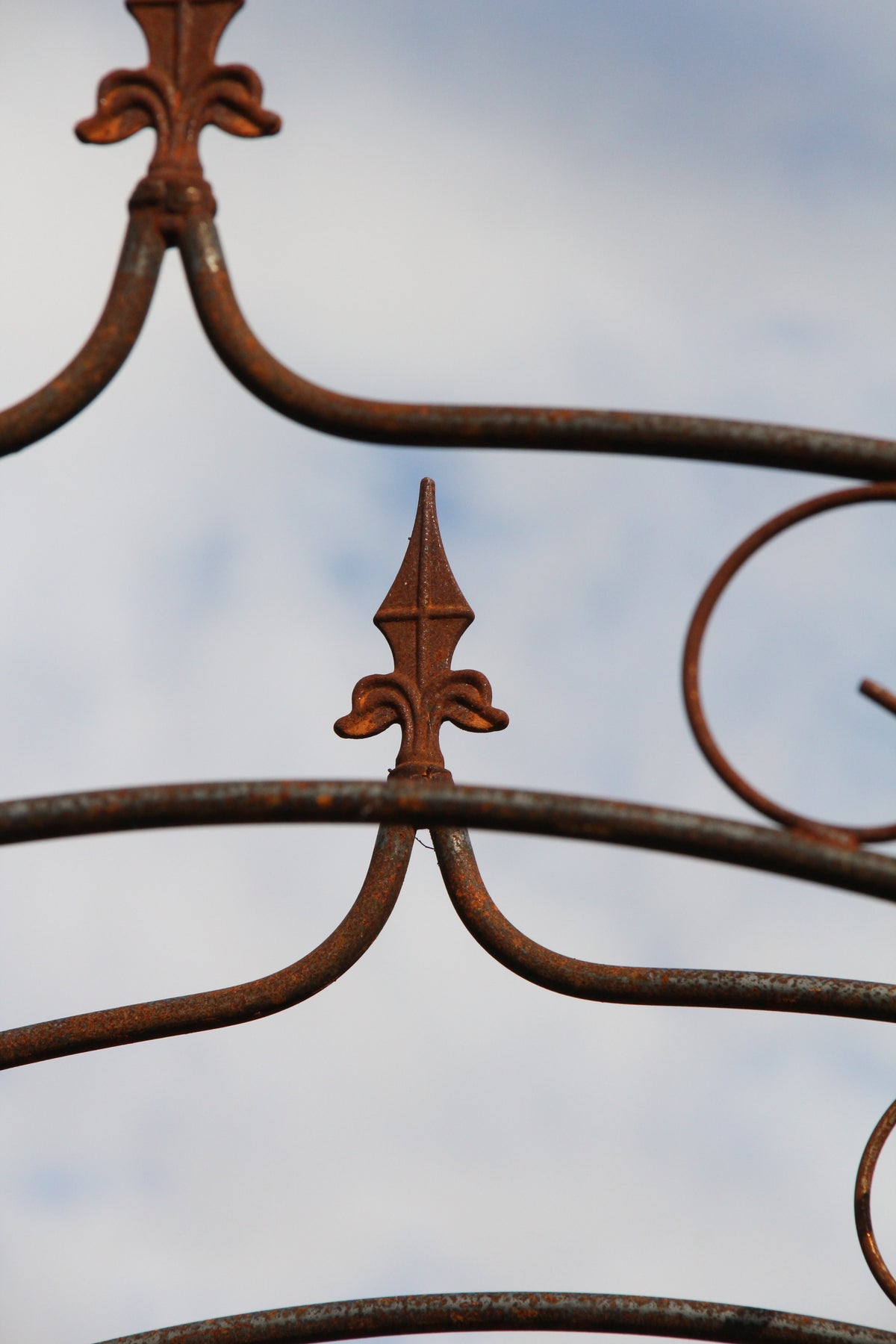 Nahaufnahme des Hirsch Rosenbogen SPITZ Vollmetall stabil, gefertigt aus 12 mm starkem Vollmetall, mit einem Fleur-de-Lis-Motiv vor dem Hintergrund eines bewölkten Himmels.