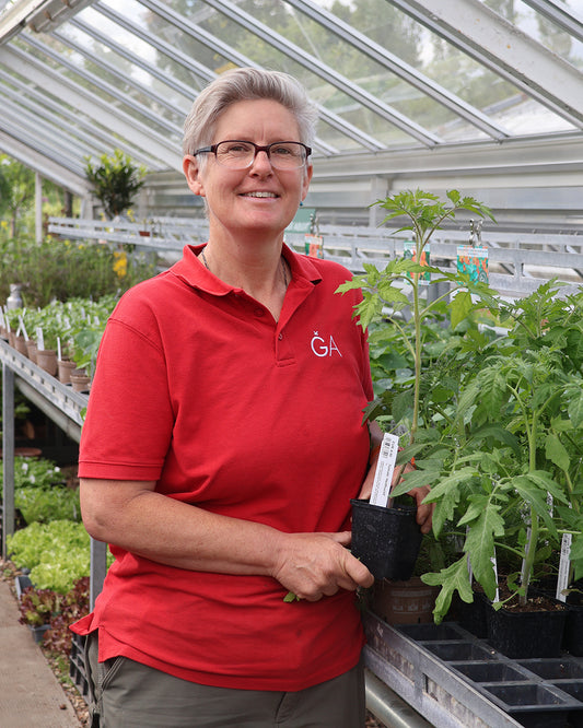 Im Gewächshaus hält eine lächelnde Person in einem roten Polo eine Topfpflanze - bereit für den Sa. 21.03.2026 | 11.00-13.00 WORKSHOP Aus eigener Anzucht: selbst Pflanzen vermehren by Königliche Gartenakademie, mit Sonnenlicht, das durch das Glasdach fällt.