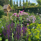Erleben Sie den Duft im sommerlichen Garten bei der ABENDLICHTFÜHRUNG der Königlichen Gartenakademie am Mi. 24.06.2026, 17.00-18.00 Uhr, umgeben von blühenden Blumen und üppigem Grün in der Abenddämmerung.