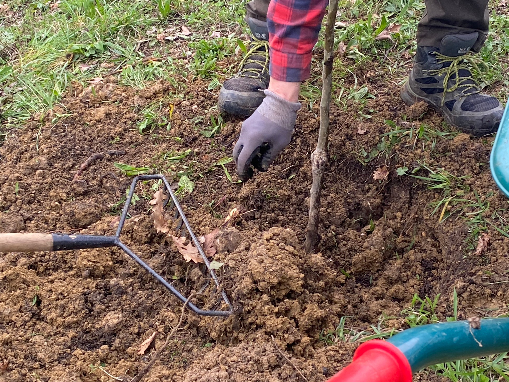 Eine Person mit Handschuhen und Stiefeln bereitet den Boden mit einer Hacke für die Baumpflanzung vor, Gras und eine Schubkarre in der Nähe - eine ideale Inspiration für den HALBTAGESKURS "Den Garten für die nächste Saison vorbereiten NEU" der Königlichen Gartenakademie, Mi. 04.11.2026, 10-13 Uhr.