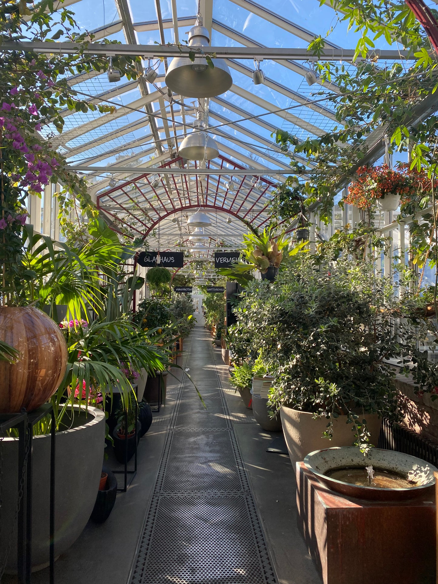 Erleben Sie das üppige, sonnenbeschienene Gewächshaus der Königlichen Gartenakademie mit Gabriella Pape bei "Fr. 25.09.2026 | 17.00-18.00 LUSTWANDELN Durch die Geschichte der Königlichen Gartenakademie".