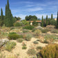 Ein Garten im mediterranen Stil mit Kieswegen, Sträuchern und hohen Zypressen unter strahlend blauem Himmel, der an die Di. 16.3.2027 | 14.30 – 15.30 Uhr AFTERNOON TEA Gartenreise durch Frankreich erinnert.