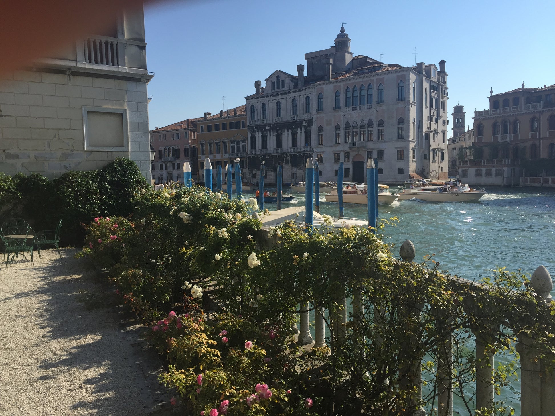 Ein sonniger Blick auf die Kanäle und historischen Gebäude Venedigs, mit blühenden Blumen und einem Metallzaun in den Gärten in Venedig. In der Ecke ist ein Finger zu sehen. Ereignis: Di. 03.11.2026 | 14:30-16:00 AFTERNOON TEA by Königliche Gartenakademie.