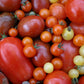 Tomaten in verschiedenen Formen, Größen und Farben - rot, gelb und orange - sind perfekt für die Königliche Gartenakademie Do. 02.04.2026 | 10.00-12.00 WORKSHOP Delikatessen für Balkon und Terrasse oder zum frischen Genuss auf dem Balkon.
