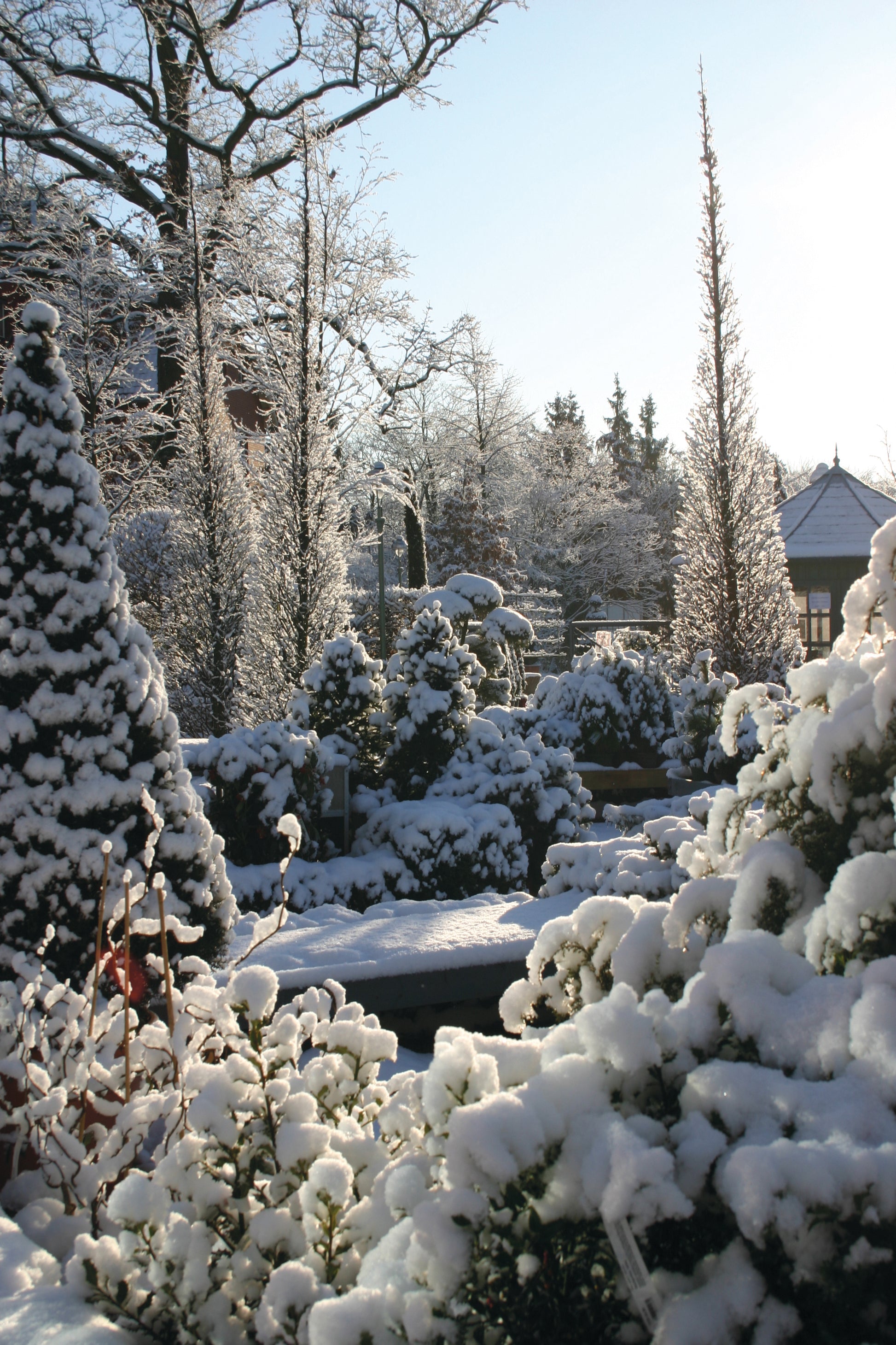 Schnee bedeckt Bäume und Sträucher, während das Sonnenlicht sanft in den Garten leuchtet. Im Hintergrund inspiriert ein Pavillon zum "Mi. 04.11.2026 | 10.00-13.00 HALBTAGESKURS Den Garten für die nächste Saison vorbereiten NEU.