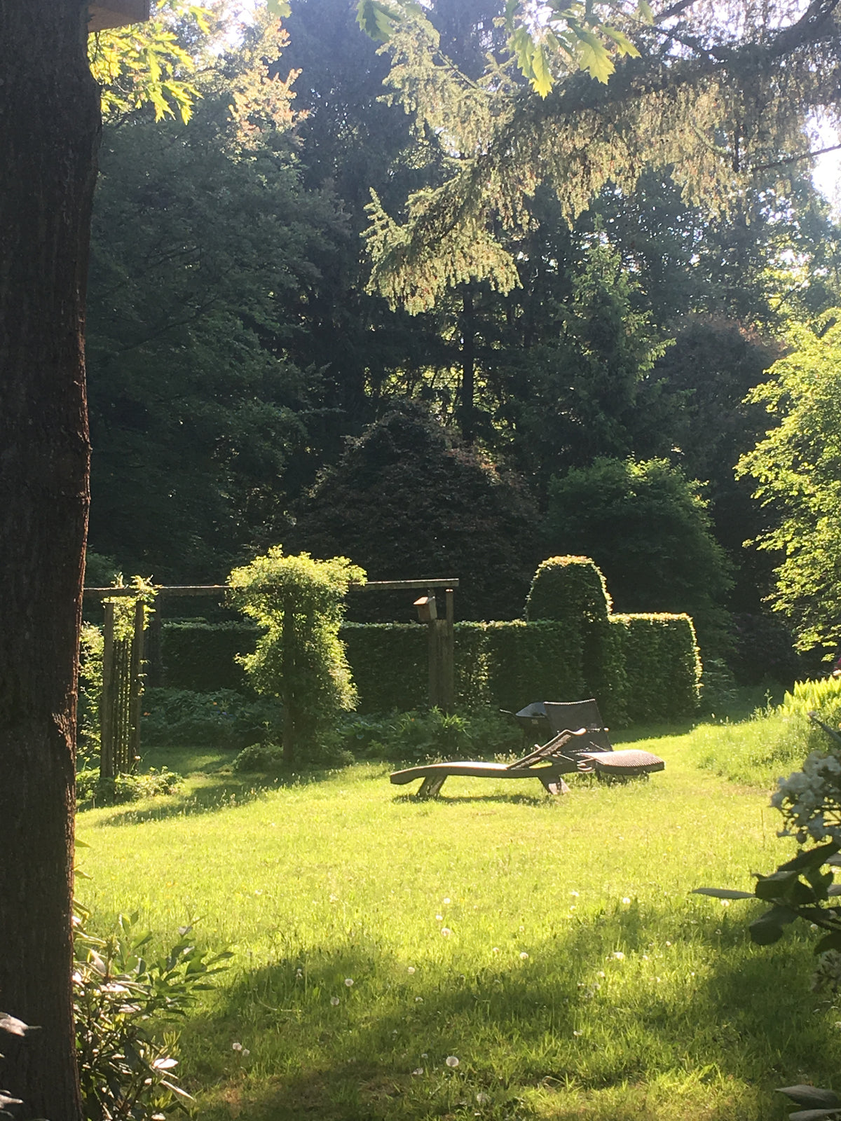 In einem sonnendurchfluteten Garten stehen neben einer hohen Hecke und einer Holzlaube ein Liegestuhl aus Holz, der die im Kurs Sa., 27.2.2027 | 10.00 – 13.00 HALBTAGESKURS Grundlagen der Gartengestaltung vermittelten Fertigkeiten veranschaulicht.