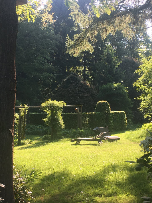 In einem sonnendurchfluteten Garten stehen neben einer hohen Hecke und einer Holzlaube ein Liegestuhl aus Holz, der die im Kurs Sa., 27.2.2027 | 10.00 – 13.00 HALBTAGESKURS Grundlagen der Gartengestaltung vermittelten Fertigkeiten veranschaulicht.