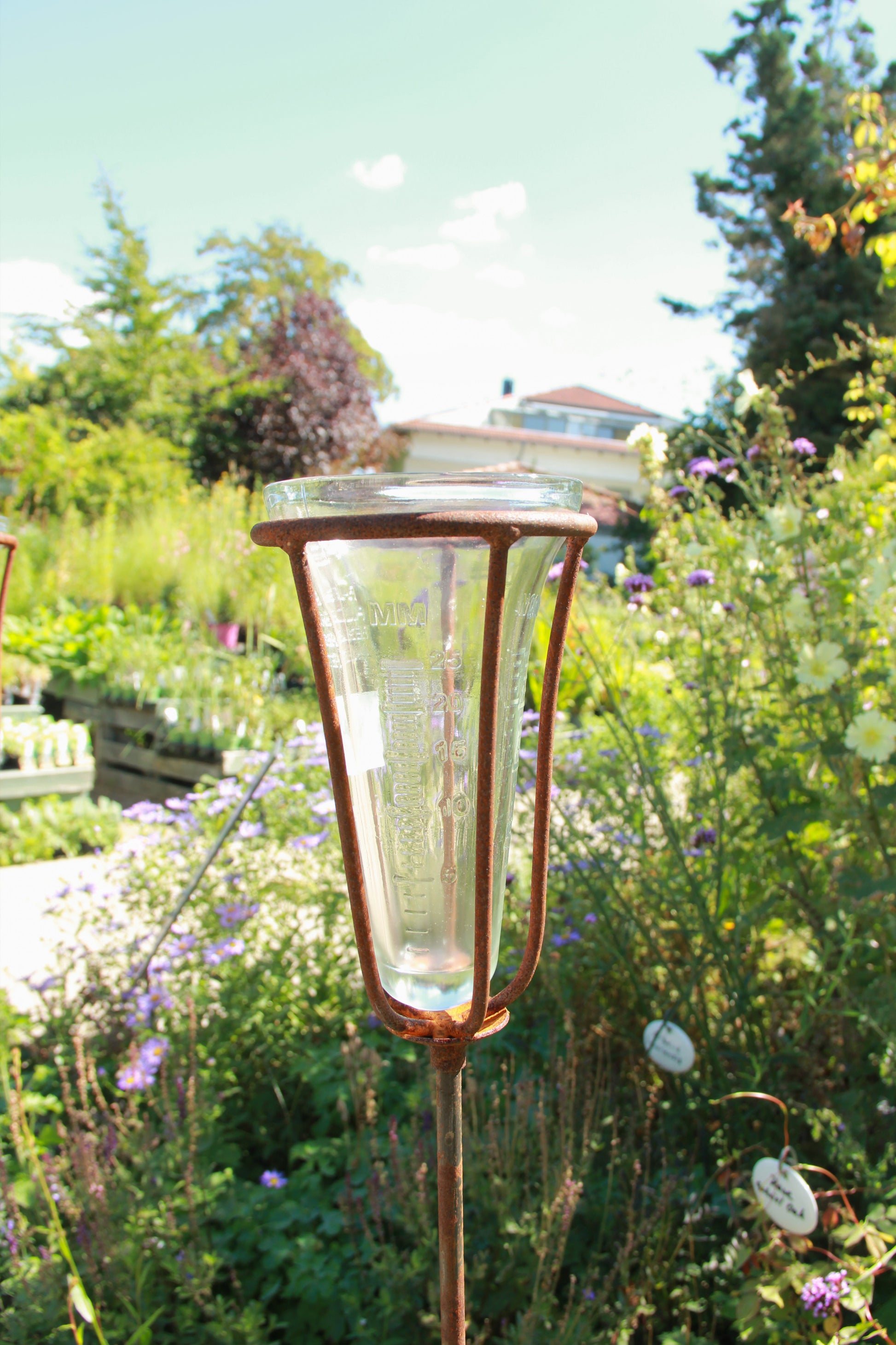 Ein Regenmesser auf einem Metallstab in Rostoptik von Hirsch steht aufrecht in einem farbenfrohen Garten, umgeben von grünen Pflanzen und blühenden Blumen, und dient sowohl als praktisches Hilfsmittel als auch als reizvolle Gartendekoration.