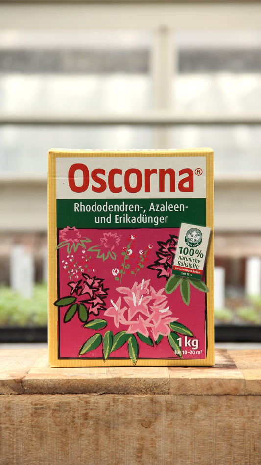 Eine 1 kg Kiste Oscorna Rhododendren-, Azaleen- und Erikadünger Naturdünger von Oscorna steht auf Holz. Auf der Verpackung sind rosa Blüten, grüne Blätter und die Aufschrift "100 % natürliche Rohstoffe" zu sehen.