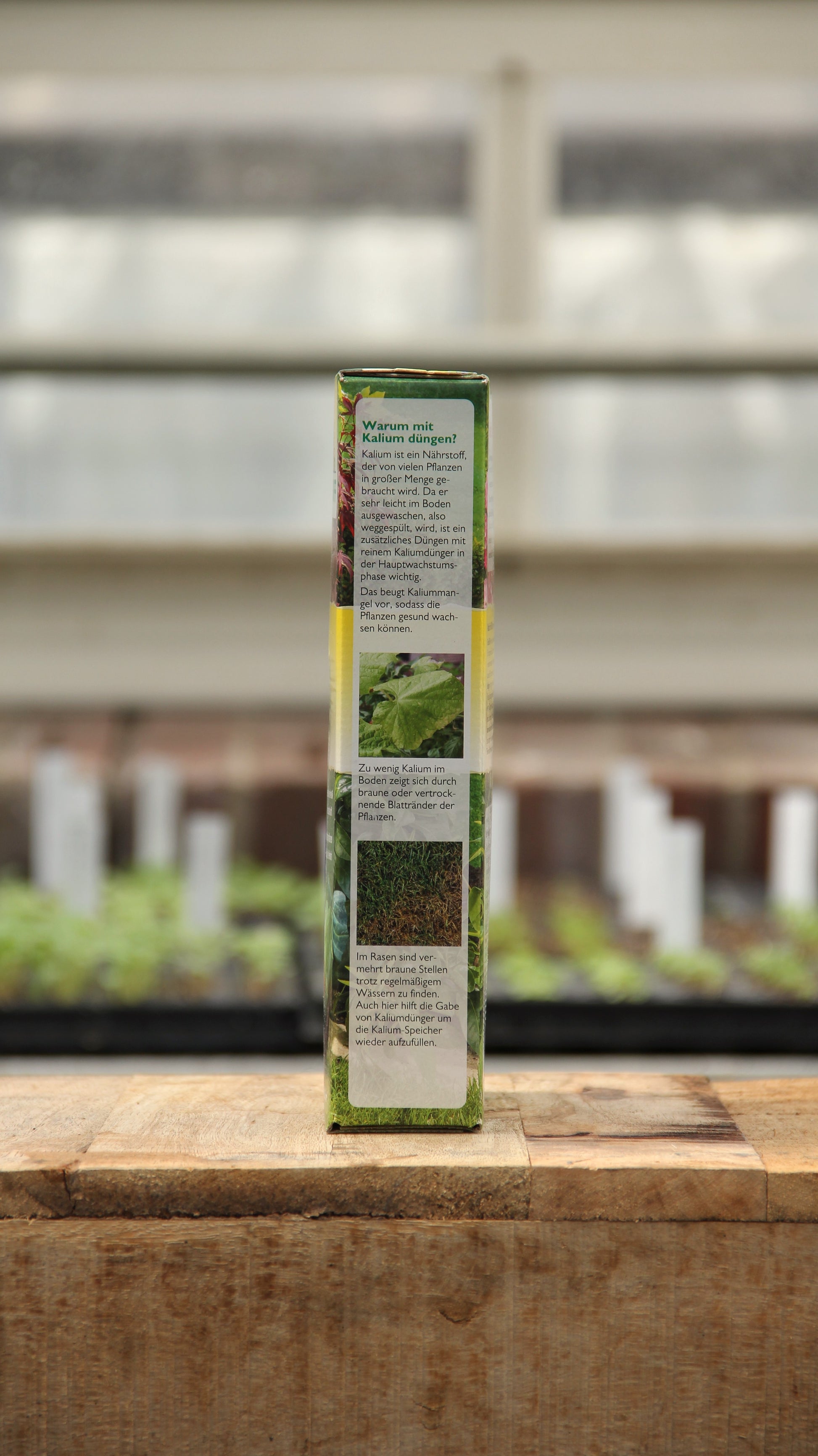 Eine rechteckige Schachtel mit der Aufschrift "Neudorff | Azet Kalium Dünger 2 kg" steht auf einer hölzernen Unterlage mit deutschem Text und Bildern, im Hintergrund sind unscharfe Setzlinge und Gewächshausregale zu sehen.